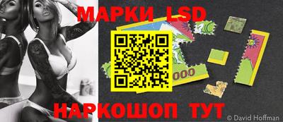 МДПВ Донецк
