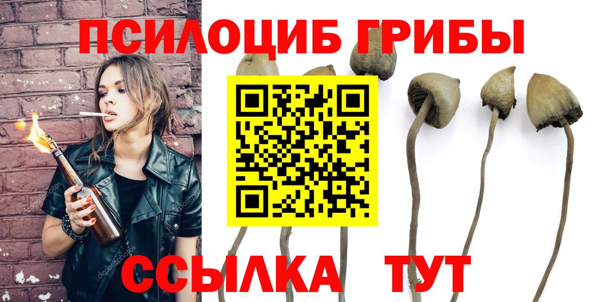 Псилоцибиновые грибы Psilocybine cubensis Лангепас